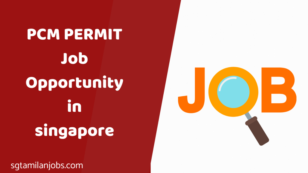 PCM Permit Job Opportunity in Singapore